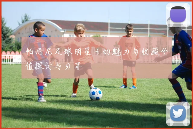 帕尼尼足球明星卡的魅力与收藏价值探讨与分享
