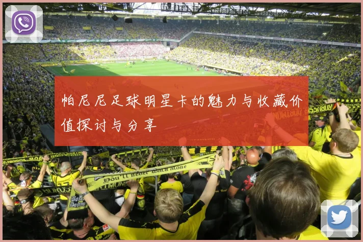 帕尼尼足球明星卡的魅力与收藏价值探讨与分享