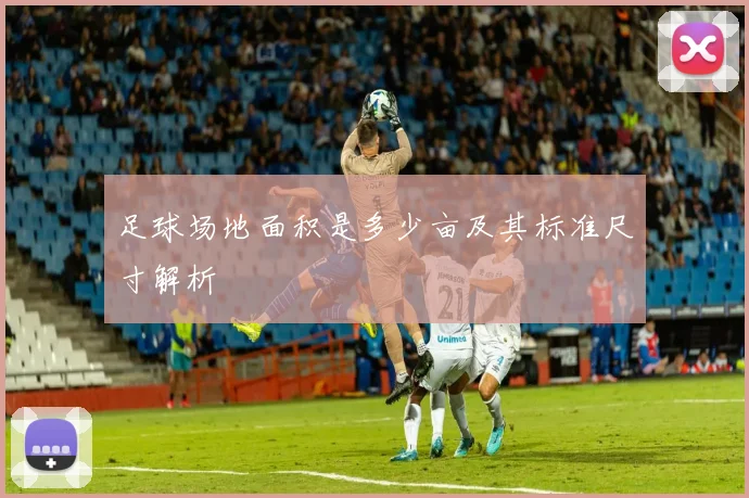 足球场地面积是多少亩及其标准尺寸解析