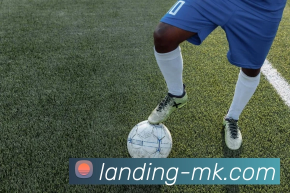 MK体育平台生态图